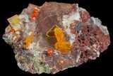 Wulfenite Crystal Cluster - Rowley Mine, AZ #76899-1